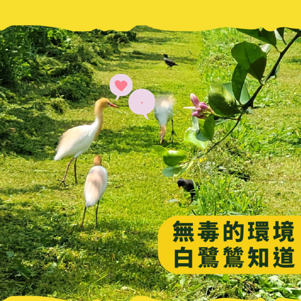 我們想傳遞的精神： 活力、溫暖、親切、生活中的創造力。 翻轉人們對檸檬使人怯步的印象。 連皮都可以好吃的檸檬 ! 豐富的營養都可以輕鬆吃下去 ， 堅持純天然無添加、手工製作， 絕不加化學佐劑、添加物， 透過更多元的方式呈現元氣檸檬 ， 推出多變化豐富的新品。 連皮都可以好吃的檸檬 ! 豐富的營養都可以輕鬆吃下去 !!