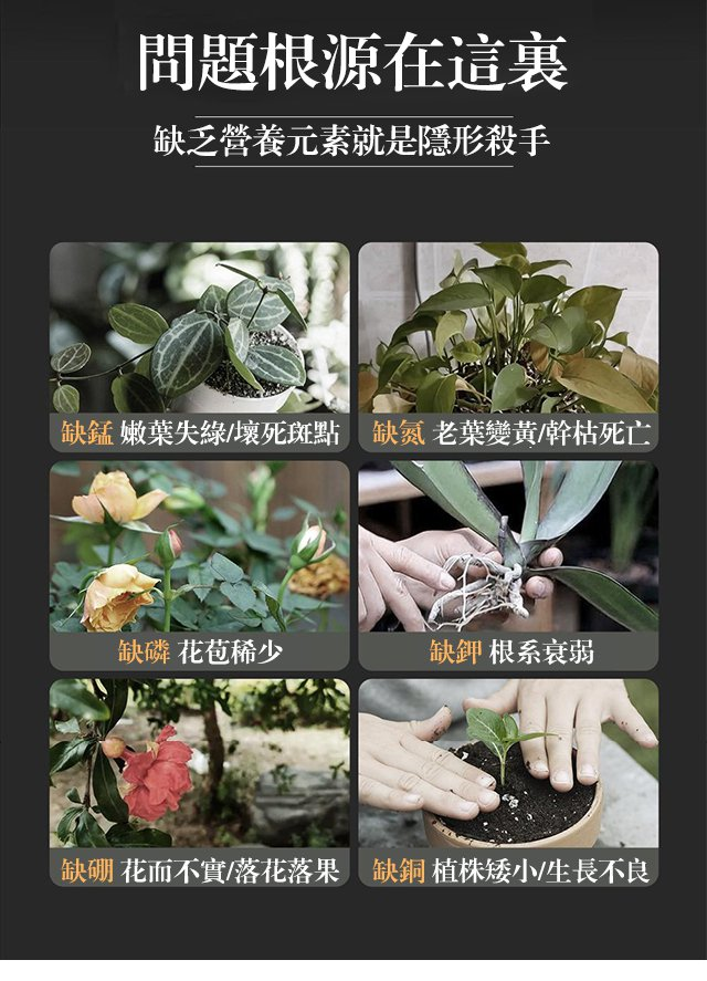 1703750272565200.png 7ee8f0649fb291ae29a7327eb7b14b9.png