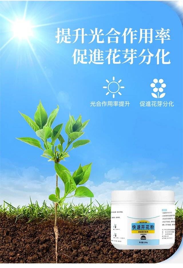 1703750329807877.png a6b65f9ccd83013279a0e2dbd11ae95.png