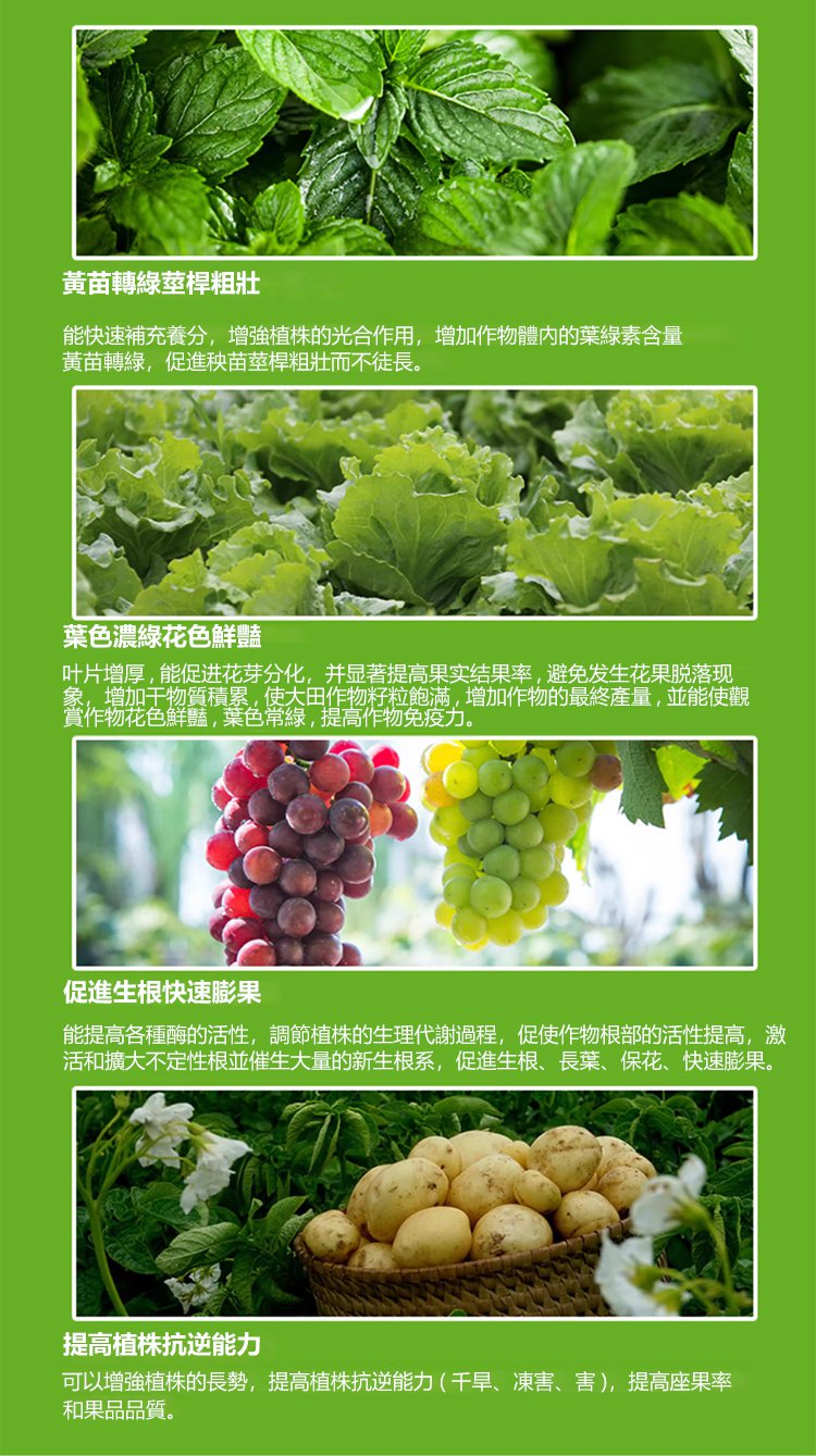 1704554095986995.png ac646a720d9e97210f1f425f3f5e4e7.png