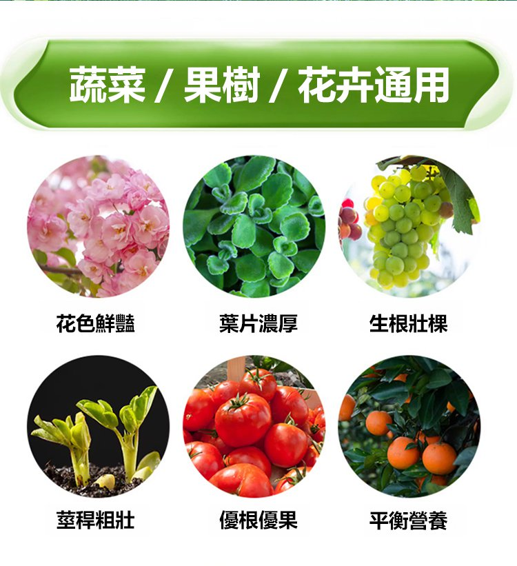 1704554114760448.png 91b20826bc9aa3a33ab683fec13a0c9.png