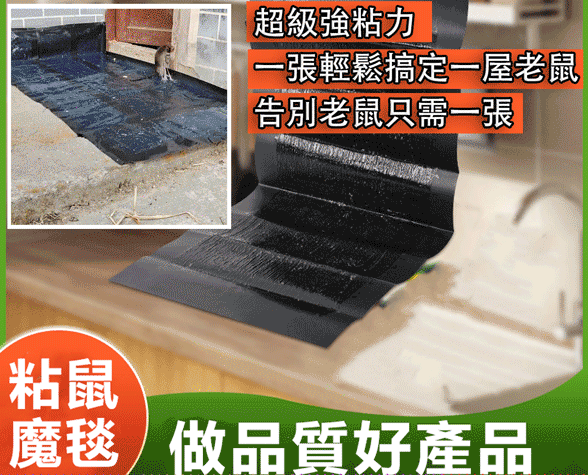超級強粘力,一張輕鬆搞定一屋子老鼠||告別老鼠只需一張 超級強粘力,一張輕鬆搞定一屋子老鼠||告別老鼠只需一張