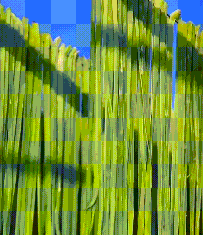 1714654243862321.gif 1.gif