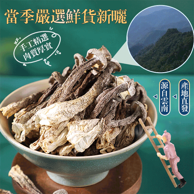  【煲湯炒菜下飯必備】山珍海味鹿茸菇 #高山食材 #滋補養生